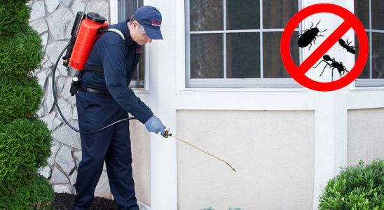 Eşrefpaşa Böcek İlaçlama böcek ilaçlama ve haşere kontrolü — ilaclama-tr.com